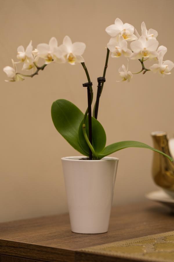 Civico Cinque Home Luxury Apartment 살레르노 외부 사진